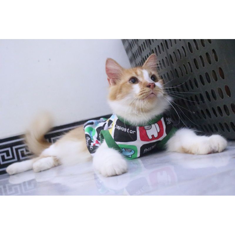 Kaos motif amongus lucu untuk kucing / kaos simple rumahan / baju kucing murah size S M L XL