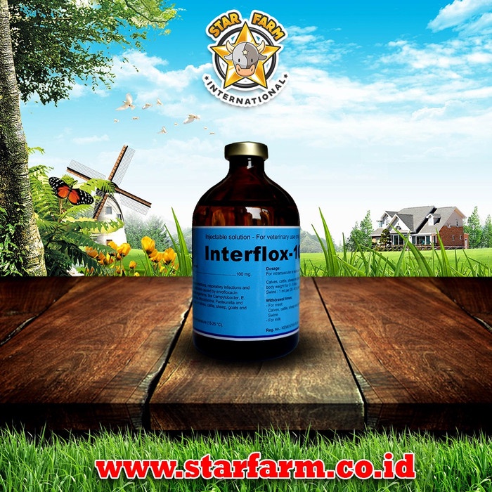 

Bf31Gf Interflox 100 Gdf601