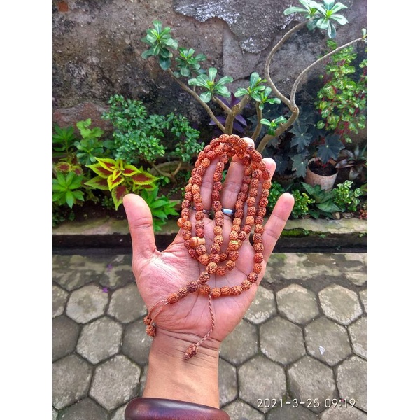 Paket Kalung tasbih 99 + gelang biji bidara arab Asli SIDR | ready setigi galih asem nagasari kaboa 