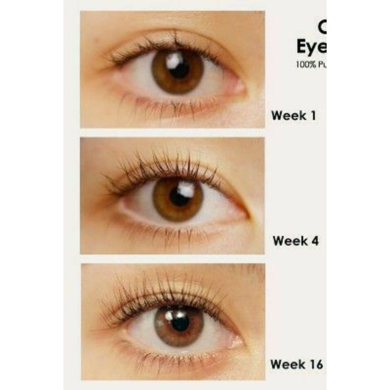 EYE LASH OIL SERUM EYEBROW &amp; EYELASH SERUM BULU MATA ALIS EYE LASH OIL MURAH EYE LASH