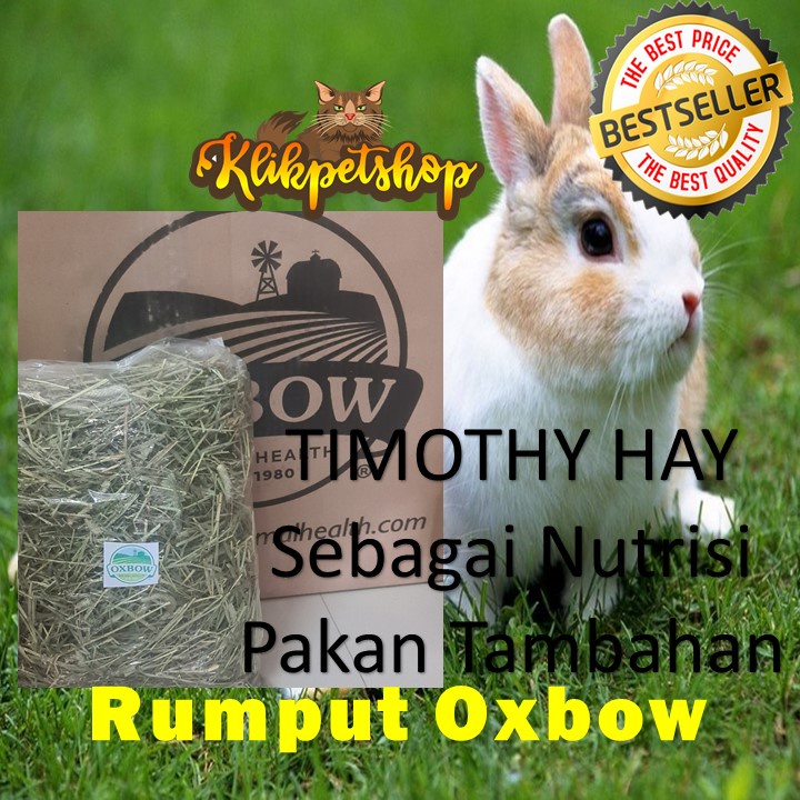 Rumput Oxbow Timothy Hay  / Rumput Makanan Kelinci Kura Darat Tortoise