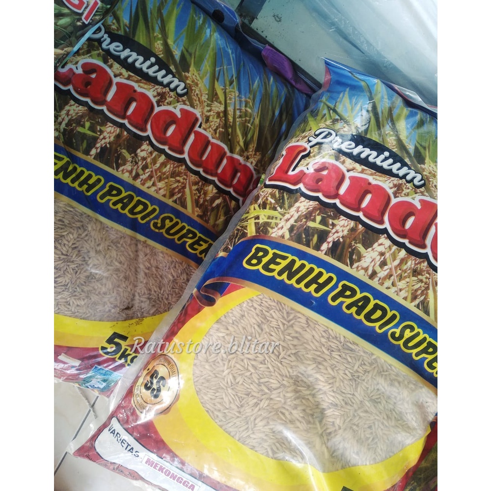 BENIH PADI MEKONGGA 5 KG|BENIH PADI UNGGUL|BENIH PADI TERJANGKAU|TAHAN WERENG|MEKONGGA PREMIUM|BENIH