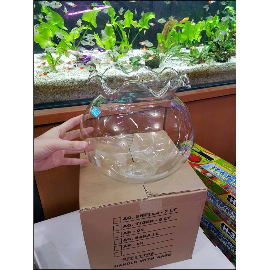 Gojek Aquarium Bulat 7 Liter Toples Shella Fish Bowl Jajan