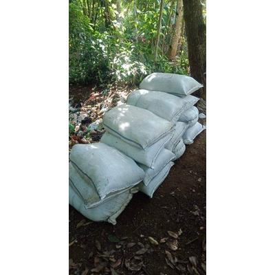 pupuk organik guano | kotoran kelelawar murni