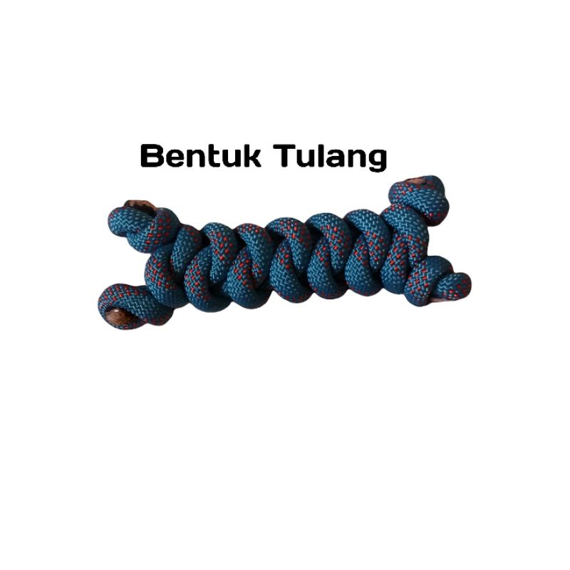 Gigitan Anjing atau kucing