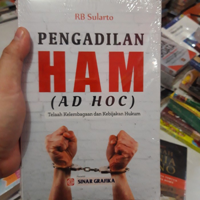 pengadilan ham (ad hoc)