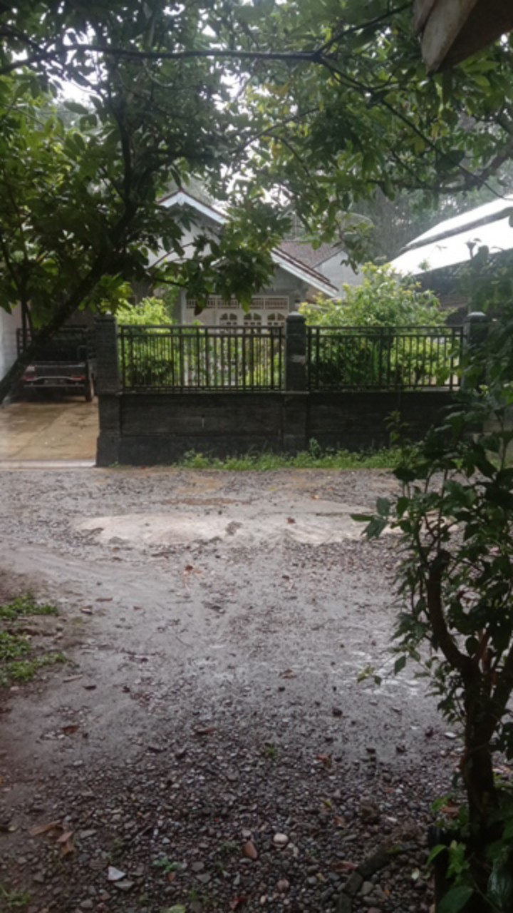 Scoop Ice / Scoop Ice Batu / Ice Cube Stainless