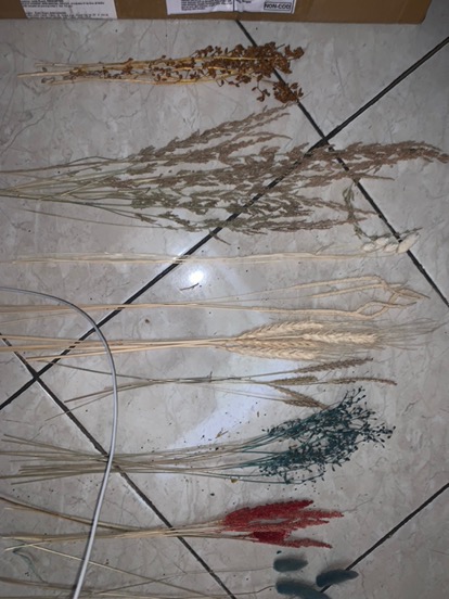 Bunga Kering Oson - Oson Violet