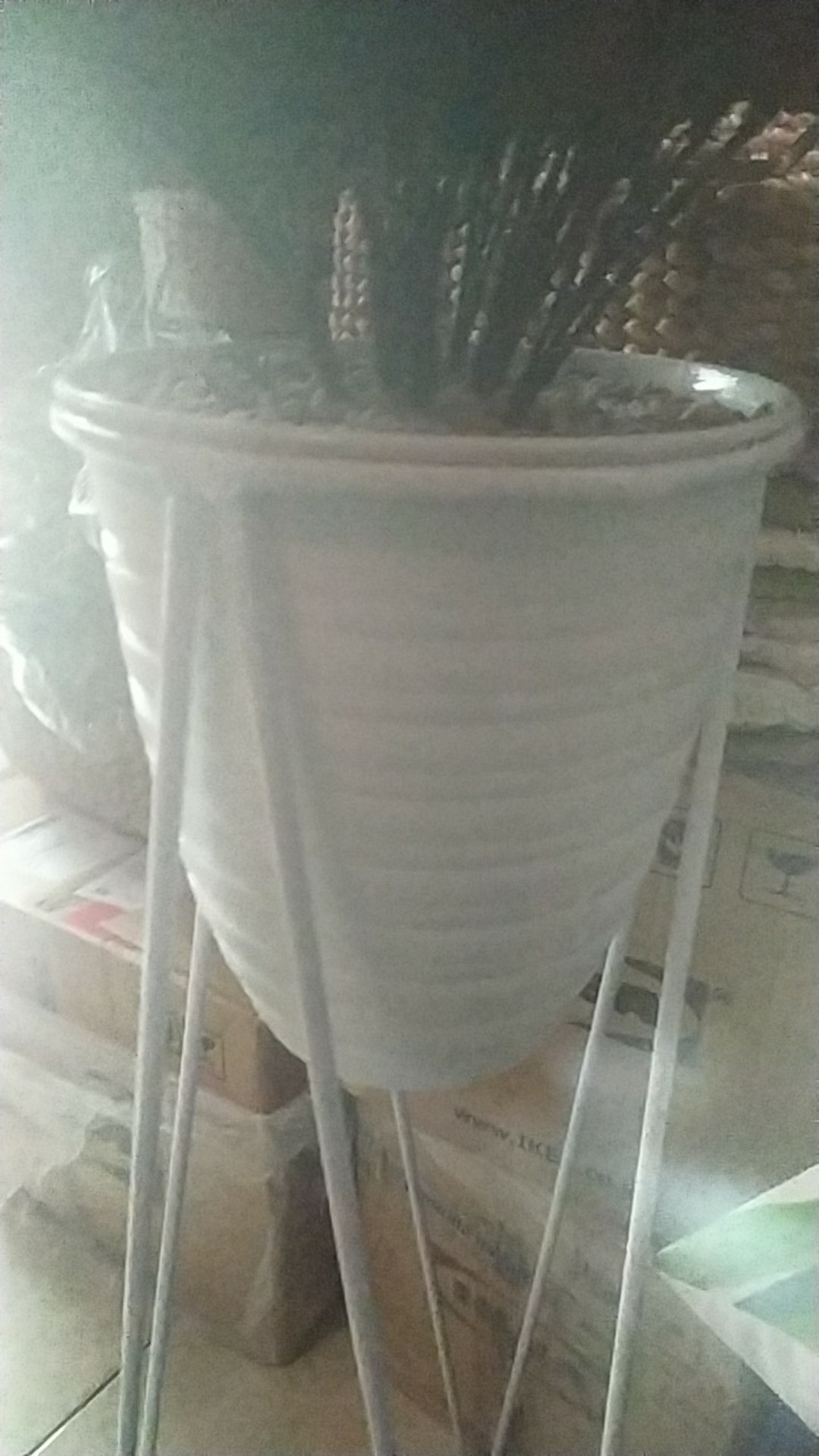 Pot Pirus 24 Putih Tirus Untuk Bunga Tanaman