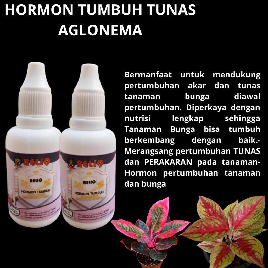 Hormon penumbuh tanaman aglonema, BISA COD Reliq Hormon Penumbuh Tunas Keladi