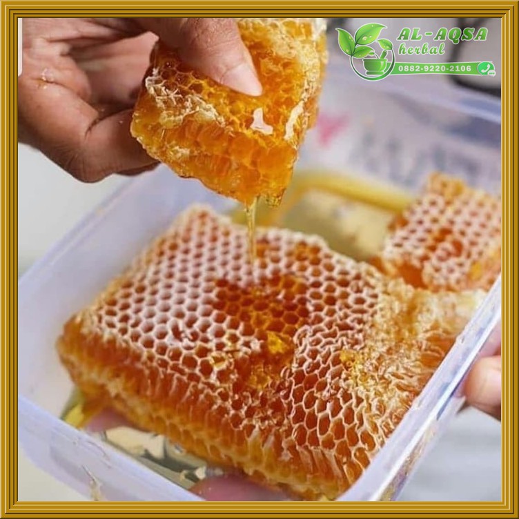 

Madu Sarang Original 500 Gram - Honey Comb Raw Honey