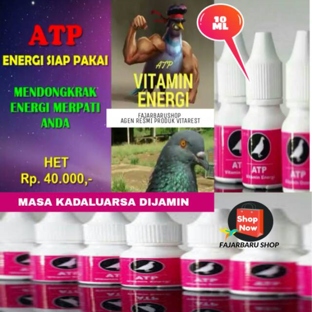 Vitamin Merpati  Atp Vitamin Energi Booster Tenaga Merpati