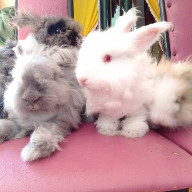 putri_mikhamikhazee96