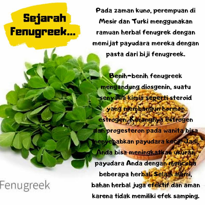 ☀️Joo.n.Co☀️ (COD) Kapsul Bubuk Seed Biji FENUGREEK / KLABET / HULBAH Pelancar ASI