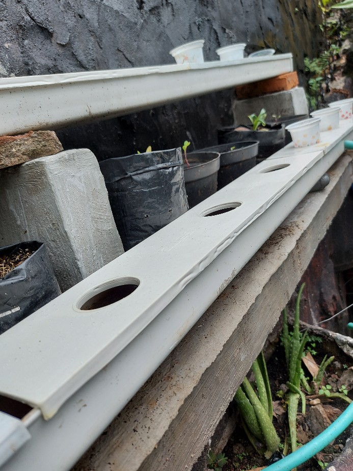 Tutup Gully Atas Guli Kotak Isano Talang Nft Hidroponik