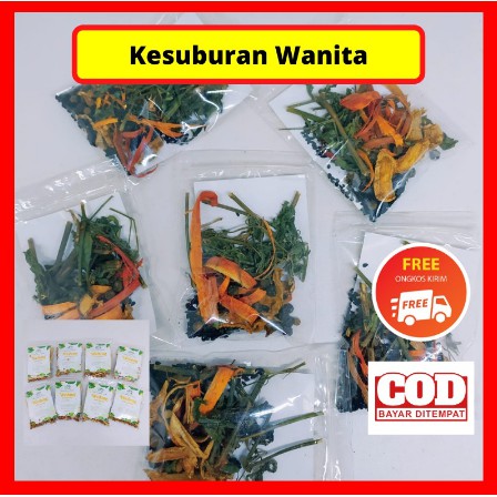 Wedang Kesuburan Jinten Hitam Habbatussauda Kunyit Jahe Minuman Herbal Alami JSR