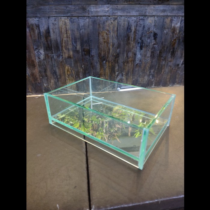 shallow tank aquarium 30x20x10 cm /7mm