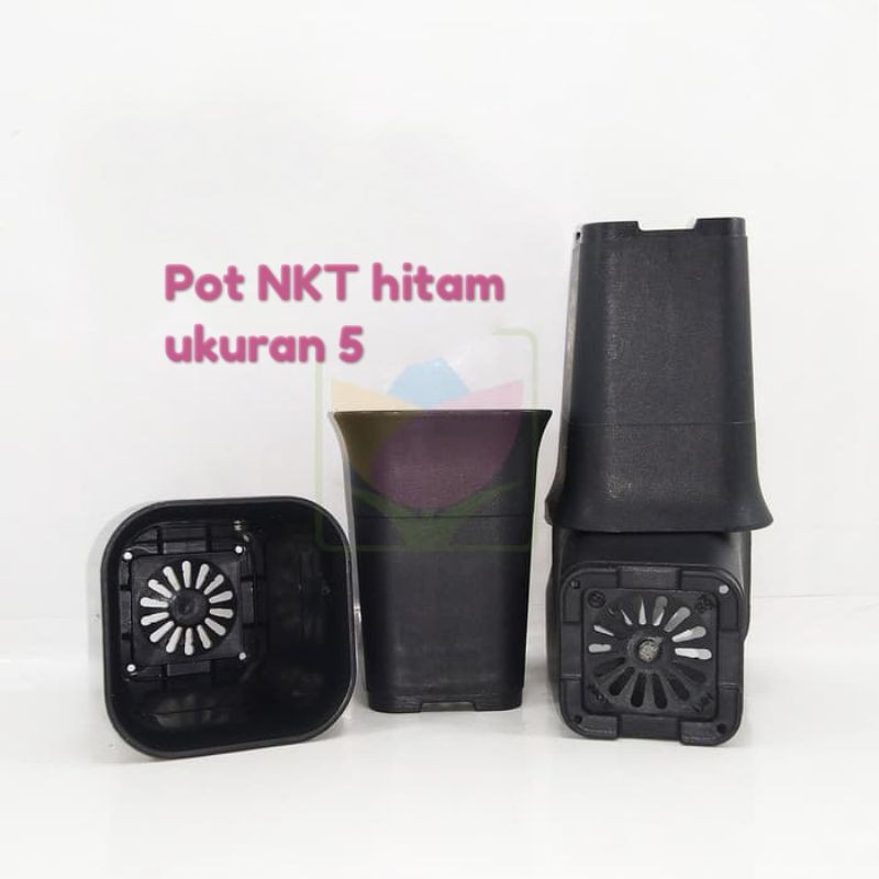 Pot NKT kotak uk 5 cm pot kaktus pot sukulen pot sansevera pot kecil pot mini pot pot pot plastik