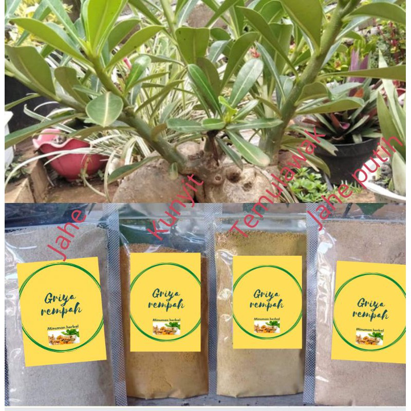 

serbuk minuman herbal rempah