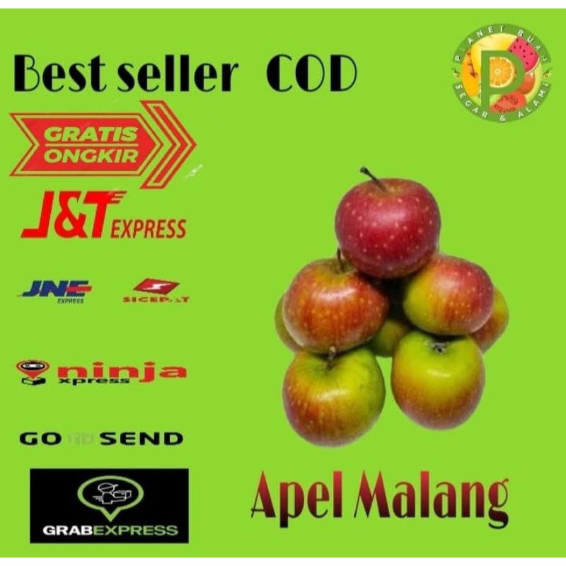 

BUAH APEL MALANG SEGAR MANIS BUAH LOKAL INDONESIA