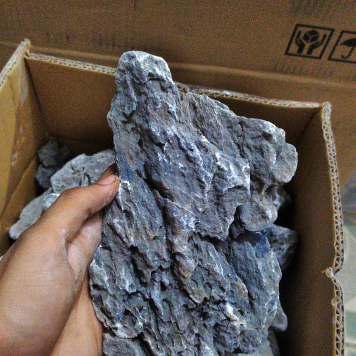 BATU SEIRYU SIRIYU GRADE A AQUASCAPE IMPORT BATU ALAM AQUASCAPE