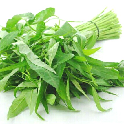 

kangkung segar fresh