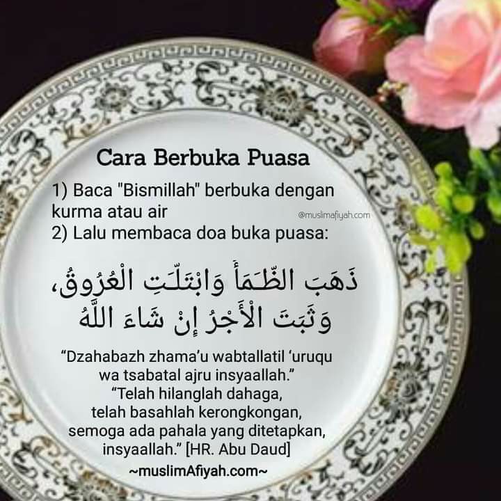 Onyx Kotak Penyimpanan / Vito Box Small Barbie Pearl Princess 5.2 L