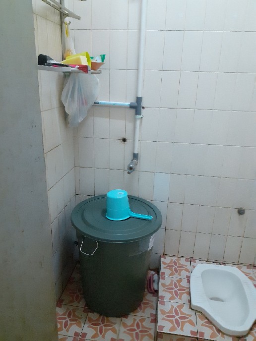 Lion Star - Gayung Mandi / Gayung Mandi Keramik