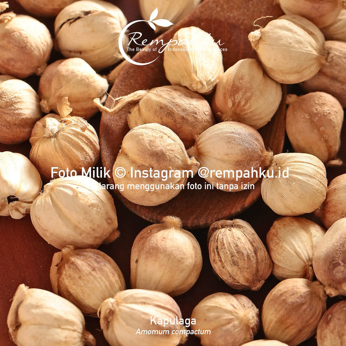 

Roxx.ea - .ea - .ea - Rempahku - Kapulaga Jawa 100Gr Whole Javanese Cardamom Buah Kapulaga