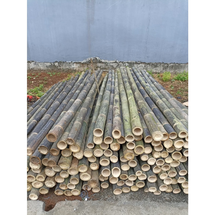 Bambu Hitam Gelondong Panjang 3 Meter
