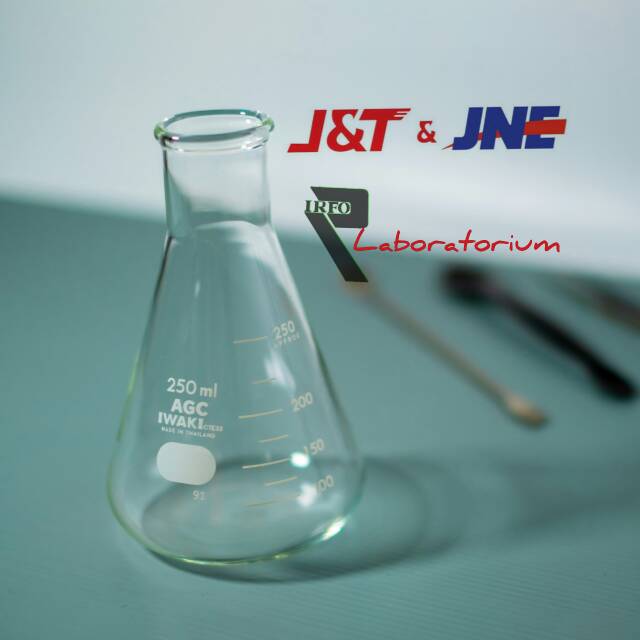 LABU ERLENMEYER/ERLENMEYER IWAKI 250 ML (1RF0) | Shopee Indonesia