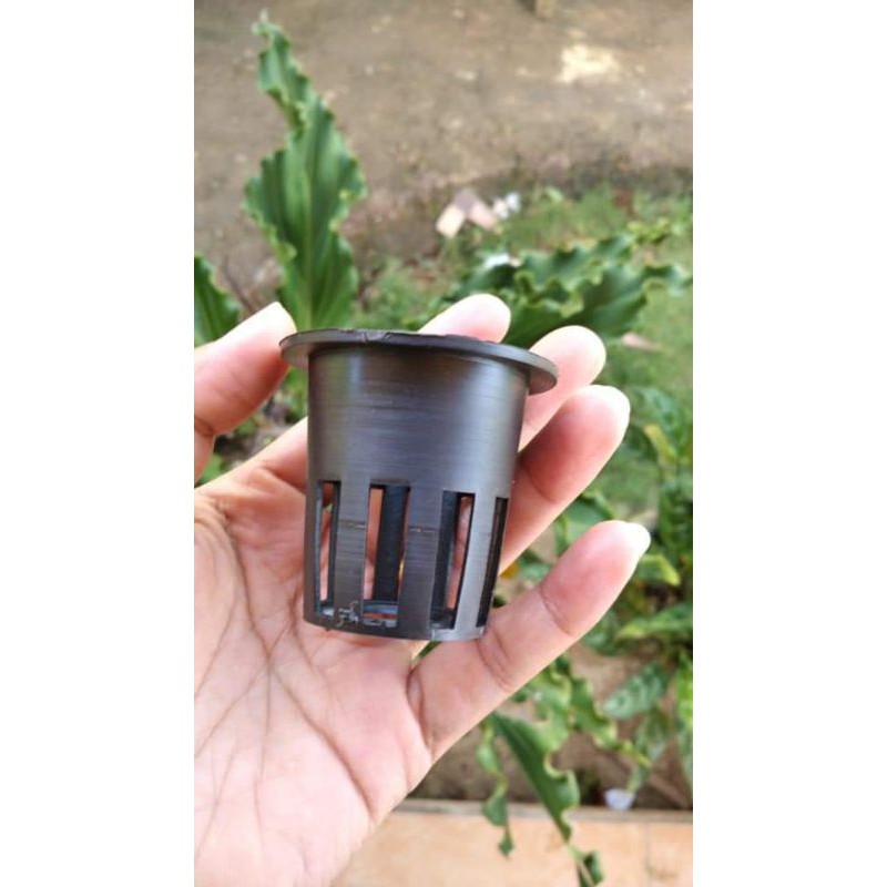 Netpot 5cm hidroponik hitam 100 pcs