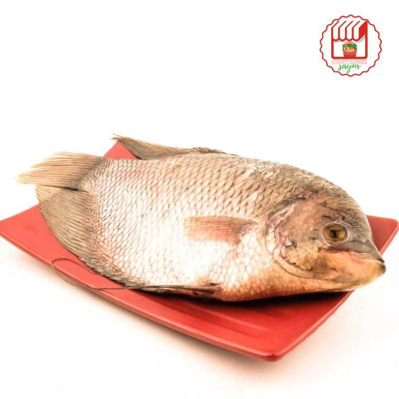 

ContainerSayur Ikan gurami 1kg