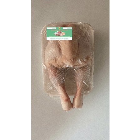 

Paha ayam