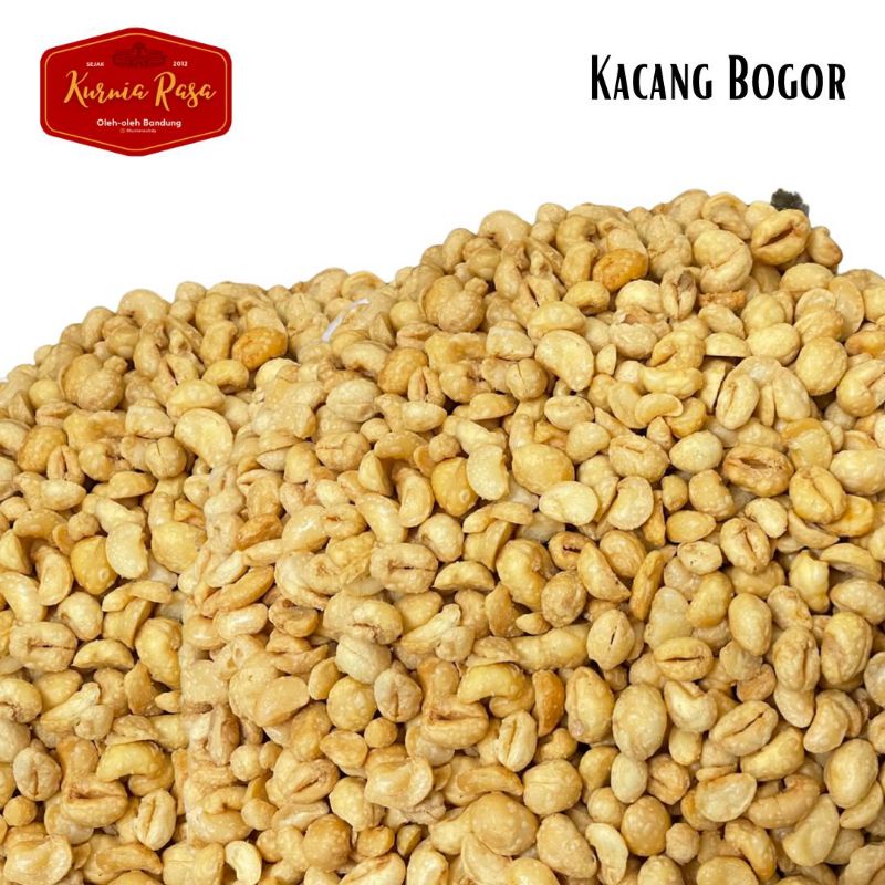 

Kacang Bogor super / kacang bogor 500 gr / kacang bogor kualitas premium/ kurniarasa