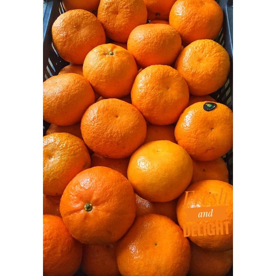 

Jeruk Honey Murcot Premium