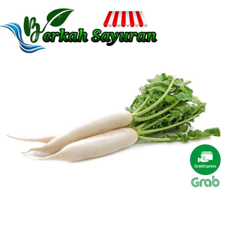 Jual Sayur Lobak Putih Indonesia Shopee Indonesia