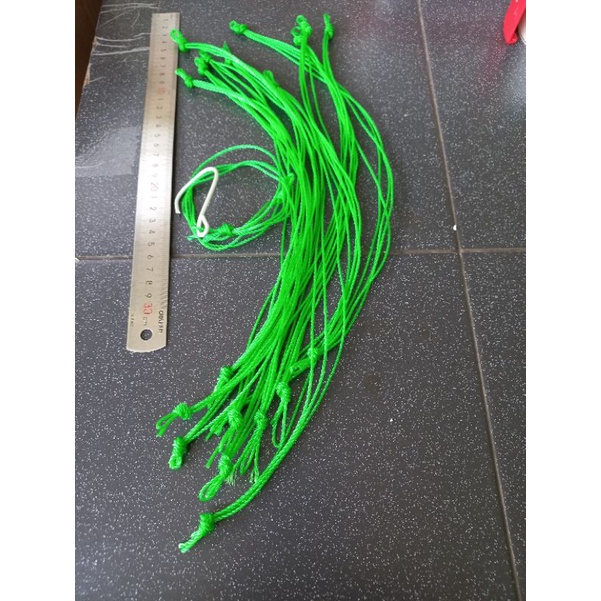 Pot Tillandsia - tambang gantungan tillandsia xero, love knot, eric knobloch dan tilly besar lainnya