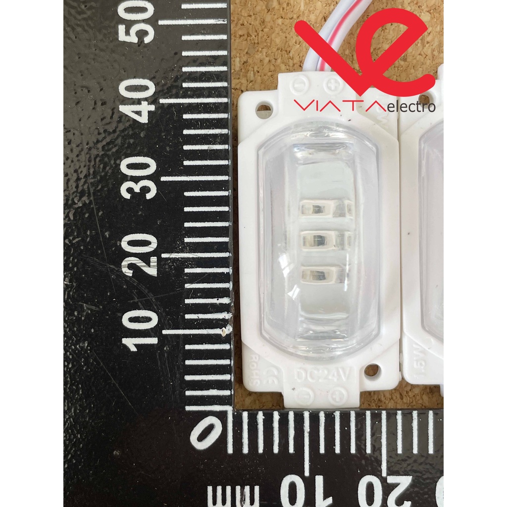 LED RGB 1 MATA ULAT BULU (1 BH) 12V - 24V LED VARIASI LED KRISTAL LED KEONG RGB VARIASI TRUK, MOBIL, MOTOR LED STROBO
