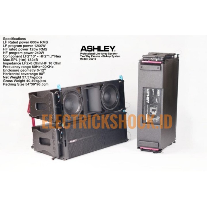 Speaker Line Array ASHLEY DS210 Pasif 2way 10inch