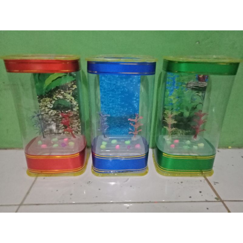 aquarium mini ikan cupang kotak non LED