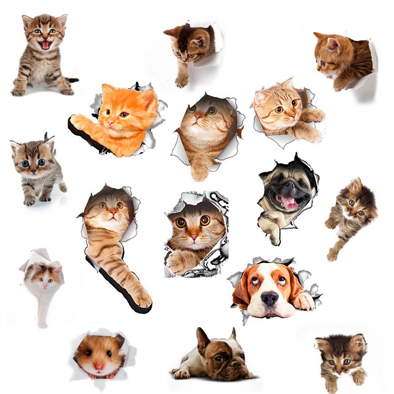 36 Cat Dinding Shopee Inspirasi Untuk Hunian Anda