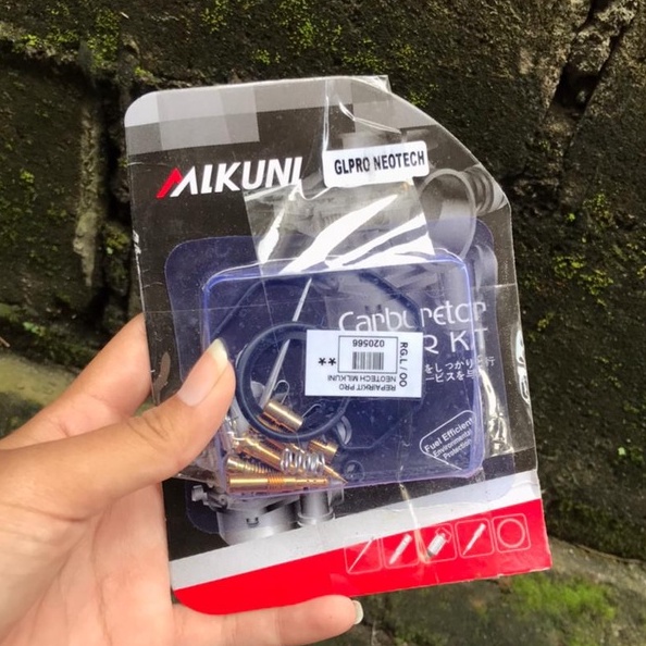 REPAIRKIT CARBU KARBU GL PRO NEOTECH