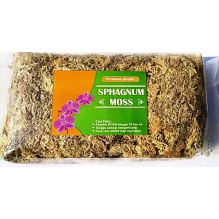 sphagnum moss