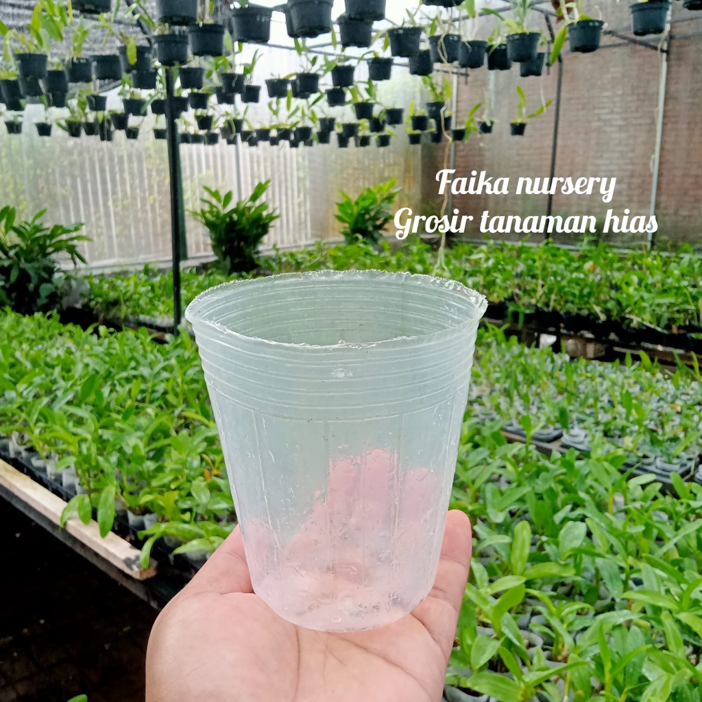 SOFT POT FLEKSIBEL CUP ANGGREK POLIPOT TRANSPARAN DEWASA 3.5 inch 10 pcs