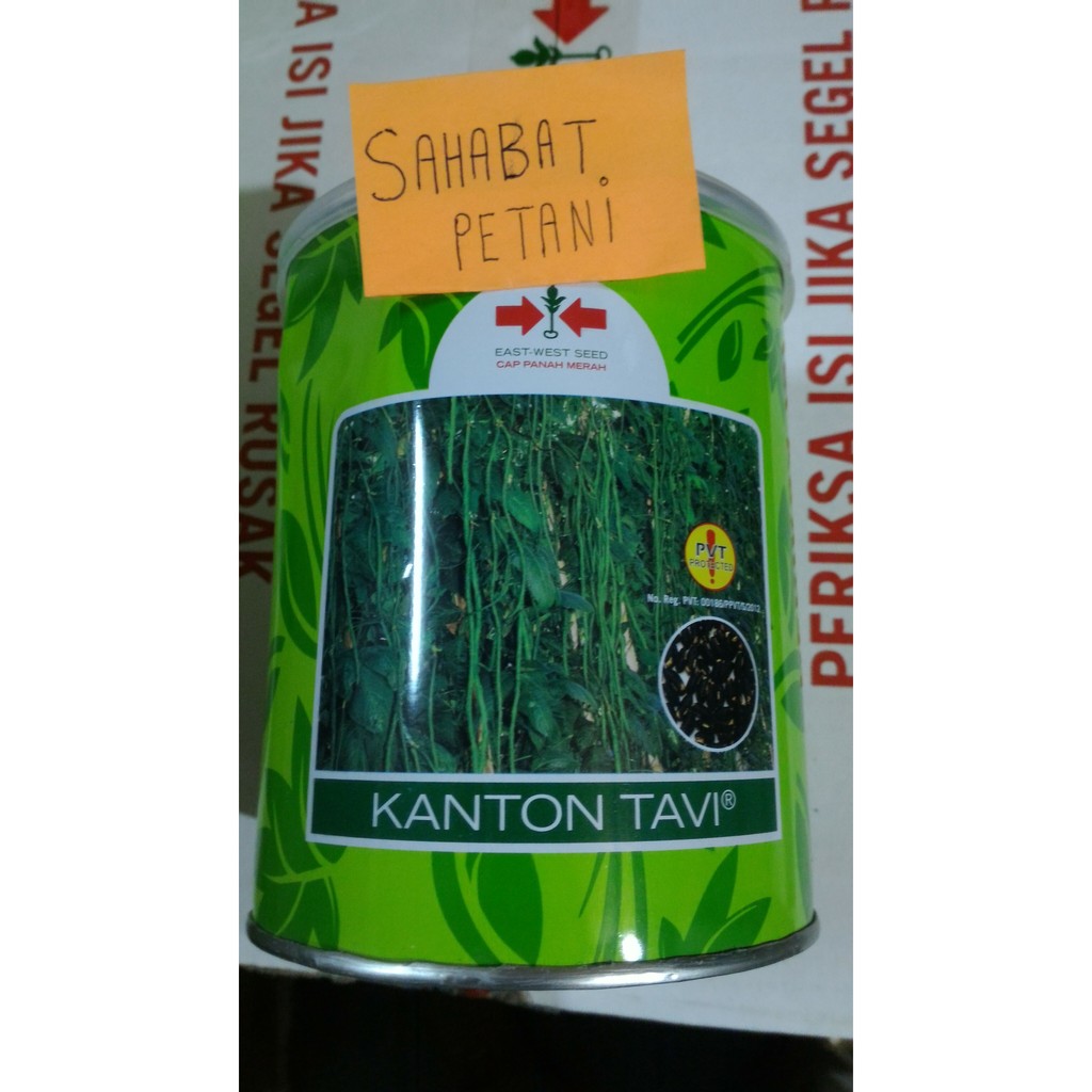 Benih Kacang Panjang Kanton Tavi 500 Gr