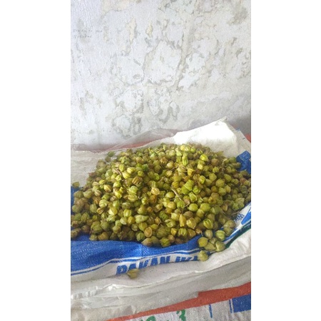 

CEPLUKAN FRESH DAN ALAMI
