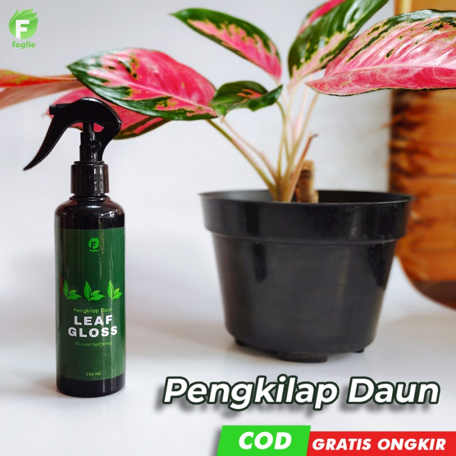 Foglie Pengkilap Daun dan Pelindung Daun - Semir Daun Spray | Leafshine 100 ml