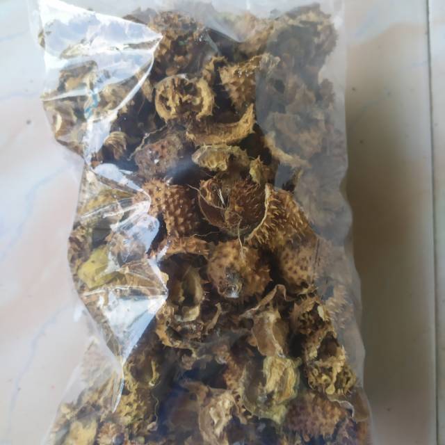 

BUAH KECUBUNG KERING 200 GRAM