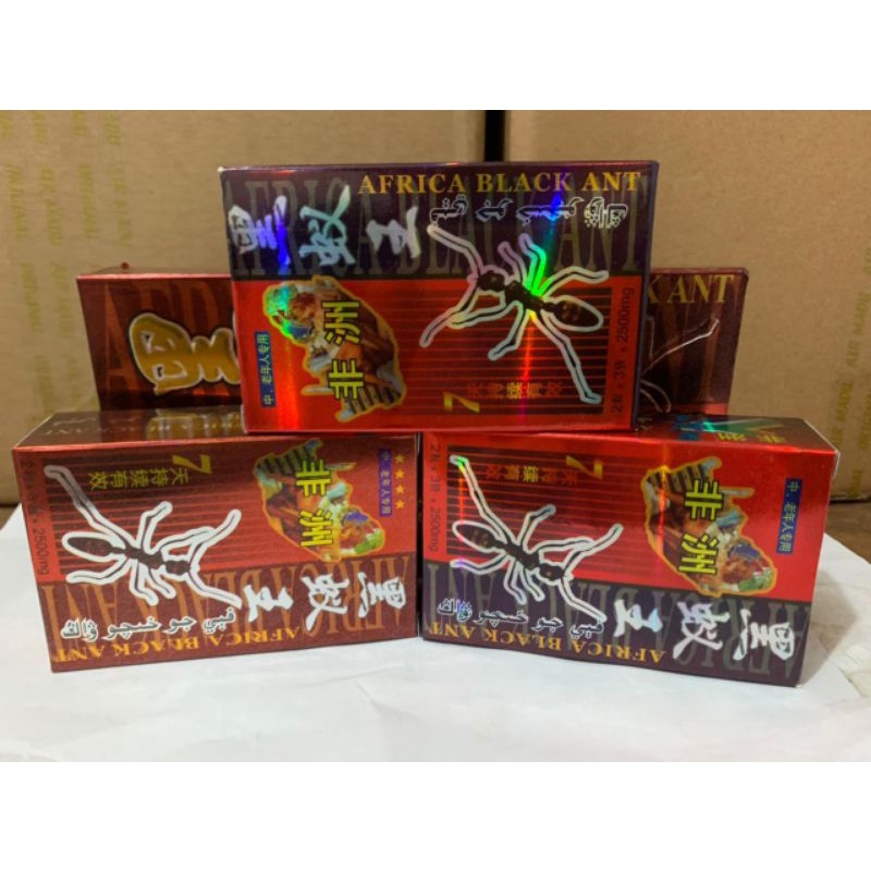 SEMUT HITAM/SEMUT AFRIKANT BLACKAN ORIGINAL